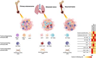 Unlocking the tumor-immune microenvironment in osteosarcoma: insights into the immune landscape and mechanisms